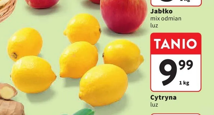 Cytryna promocja w Intermarche