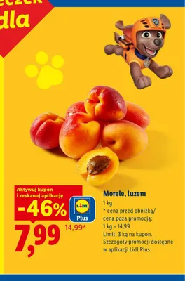 Morele luzem promocja w Lidl