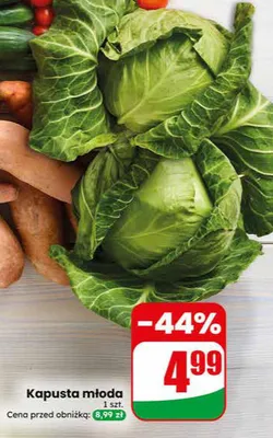 Kapusta młoda Dino promocja w Dino