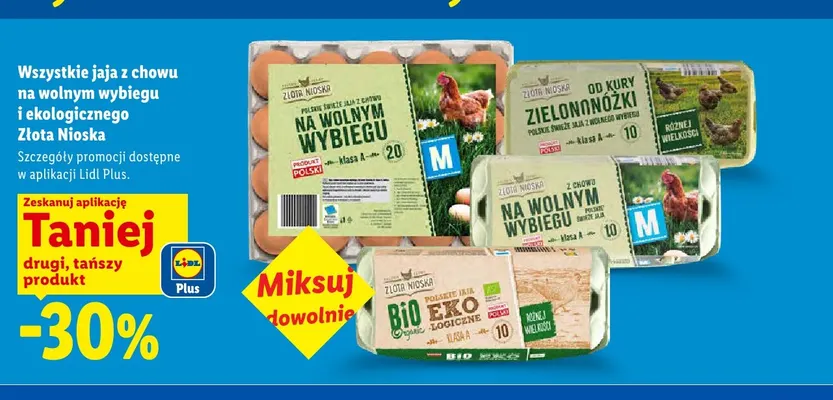 Jaja z chowu na wolnym wybiegu Złota Nioska 20 szt promocja w Lidl