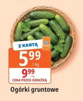Ogórki gruntowe promocja w Leclerc