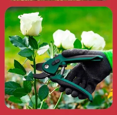 Sekator ogrodowy Gardenline promocja w Aldi