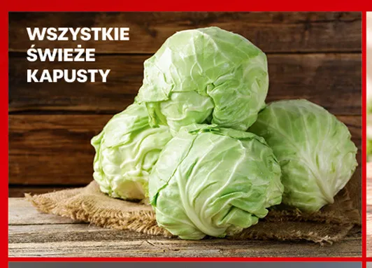 Świeże kapusty promocja w Biedronka