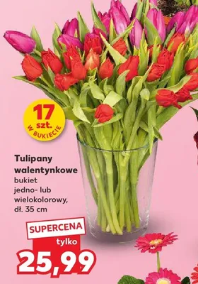 Tulipany walentynkowe bukiet 17 szt. promocja w Kaufland