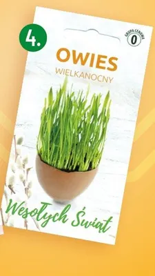 Owies wielkanocny promocja w POLOmarket