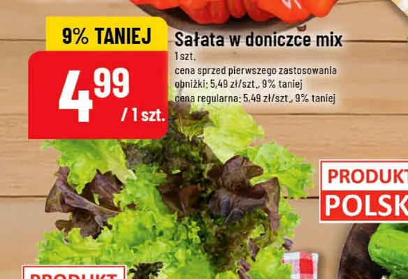 Sałata w doniczce mix promocja w POLOmarket