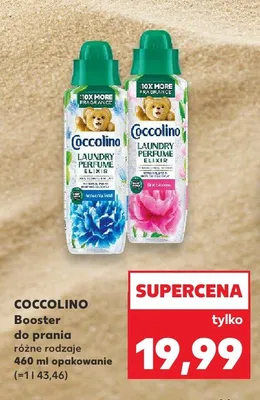 Booster do prania Coccolino Pink Blooms promocja w Kaufland