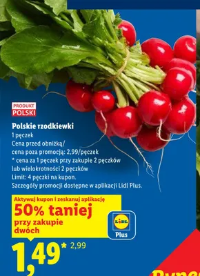 Rzodkiewki polskie promocja w Lidl