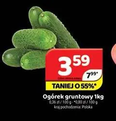 Ogórek gruntowy promocja w Delfin