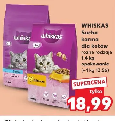 Sucha karma dla kotów Whiskas 1+ promocja w Kaufland