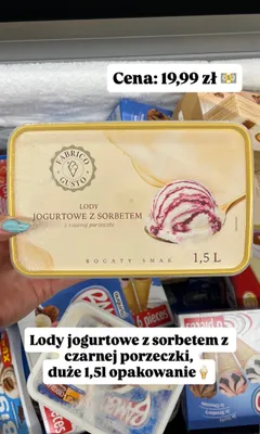 Lody jogurtowe z sorbetem z czarnej porzeczki Fabrico Gusto promocja w Dino