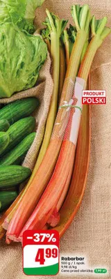 Rabarbar polski promocja w Dino