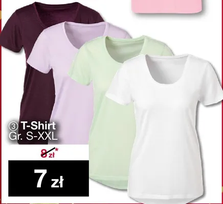 T-Shirt Gr. S-XXL promocja w Woolworth