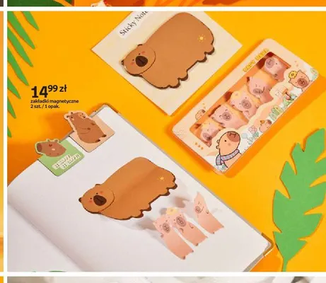 Zakładki magnetyczne Cappy Classes promocja w Empik