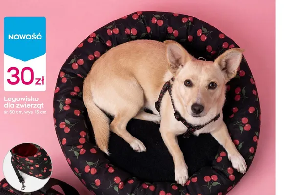 Legowisko dla zwierząt sr.50cm wys.15cm promocja w Pepco