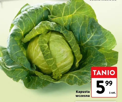 Kapusta wczesna promocja w Intermarche
