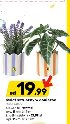 Kwiat sztuczny w doniczce lawenda wys. 18cm śr. 7cm promocja w Bricomarche