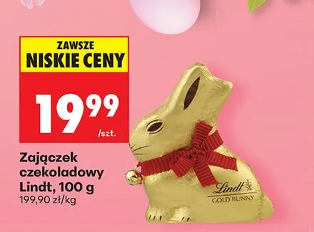 Zajączek czekoladowy promocja w Biedronka