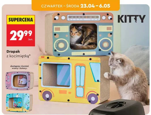 Drapak z kocimiętką promocja w Biedronka