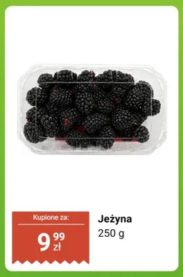 Jeżyny promocja w Dino