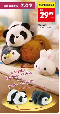 Pluszak dwustronny promocja w Biedronka