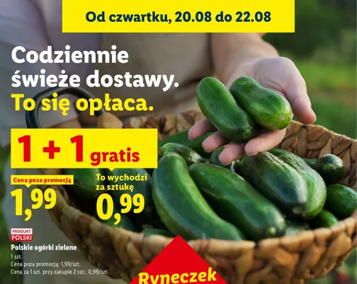 Ogórki zielone polskie Ryneczek Lidla promocja w Lidl