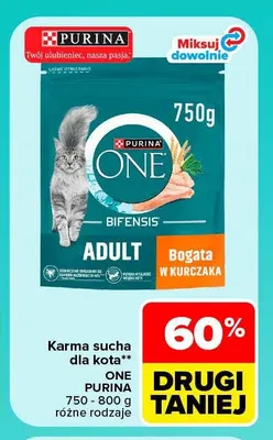 Karma sucha dla kota Purina ONE promocja w Carrefour Market
