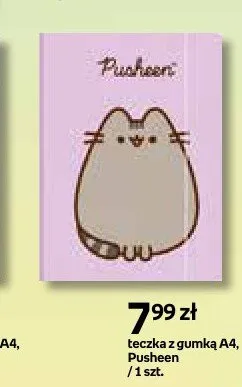 Teczka z gumką A4 Pusheen promocja w Empik
