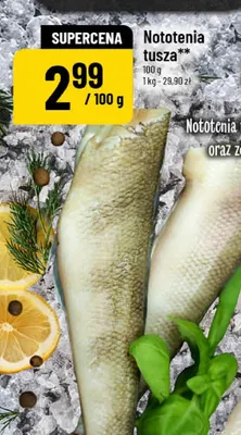 Nototenia tusza promocja w POLOmarket