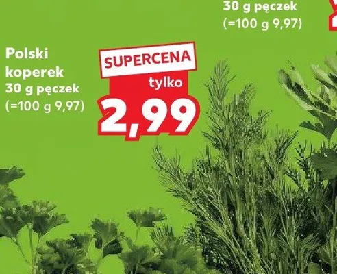 Koperek polski promocja w Kaufland