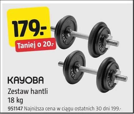 Zestaw hantli Kayoba 18kg 951147 promocja w Jula