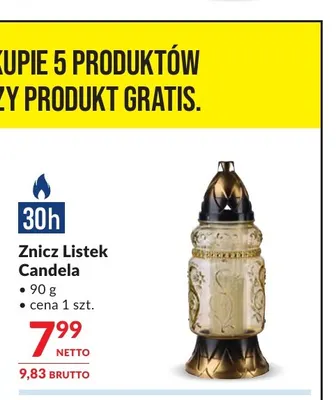 Znicz Listek Candela promocja w Makro