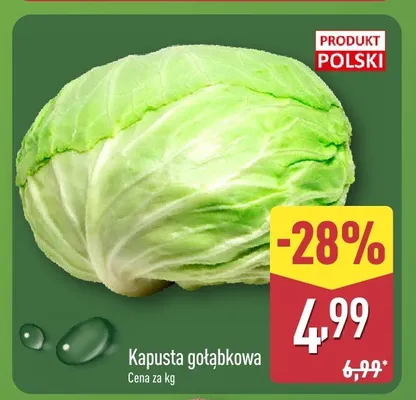 Kapusta głąbkowa promocja w Aldi