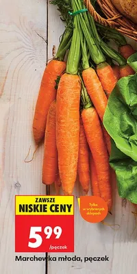 Marchewka młoda pęczek promocja w Biedronka