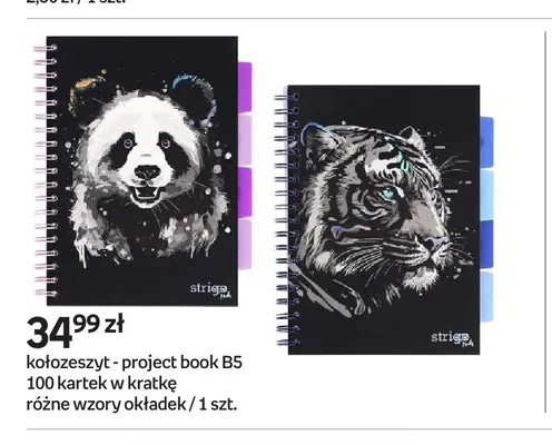 Kołozeszyt - project book B5 100 kartek w kratkę Strigo promocja w Empik
