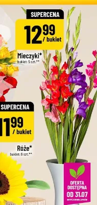 Mieczyki promocja w POLOmarket
