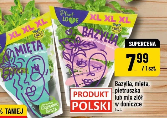 Bazylia, mięta, pietruszka lub mix ziół w doniczce promocja w POLOmarket