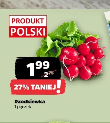 Rzodkiewka promocja w Netto