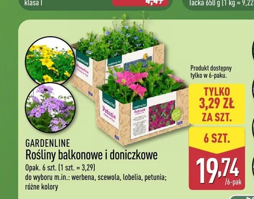 Rośliny balkonowe i doniczkowe GARDENLINE promocja w Aldi
