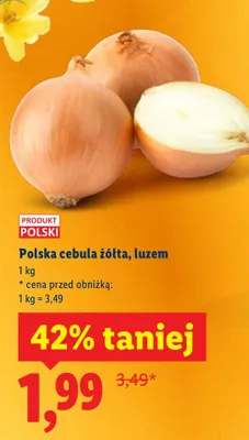 Polska cebula żółta, luzem promocja w Lidl