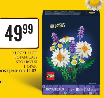 Klocki Botanicals Stokrotki Lego promocja w Dino