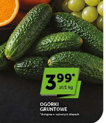 Ogórki gruntowe promocja w Euro Sklep
