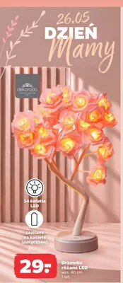 Drzewko różane LED wys. 40cm promocja w Netto