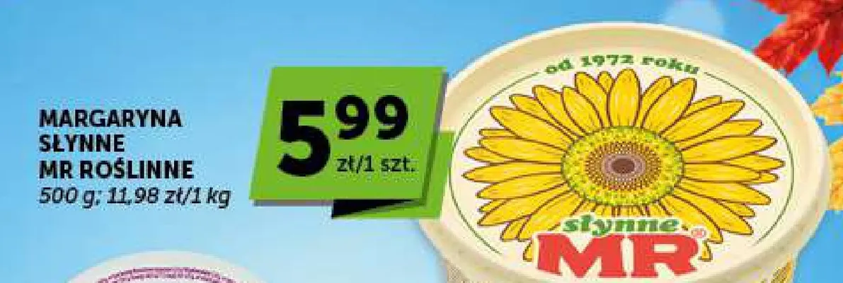 Margaryna Słynne MR roślinne promocja w Euro Sklep