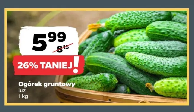 Ogórki gruntowe promocja w Netto