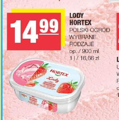 Lody Hortex Polski Ogród promocja w SPAR