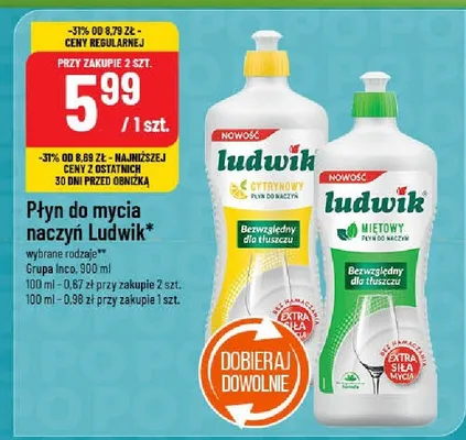 Płyn do mycia naczyń Ludwik promocja w POLOmarket