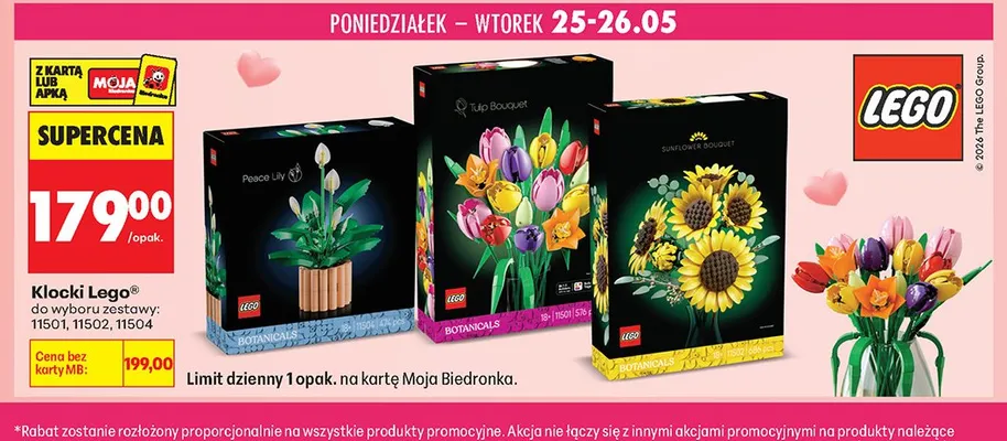 Klocki LEGO 11504 promocja w Biedronka