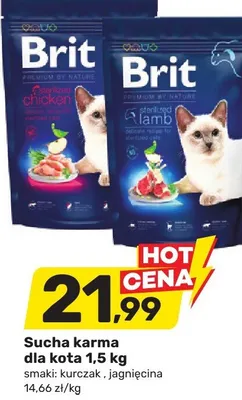 Sucha karma dla kota 1,5kg smaki: kurczak, jagnięcina promocja w Bricomarche