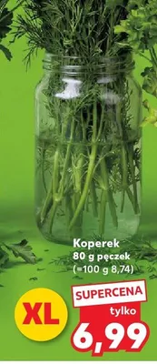 Koperek promocja w Kaufland